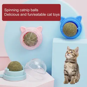 שימושי חטיפים הקיר ניקוי שיניים לחתול מנטה הכדור ללקק ניקוי צעצועים לחתול ללקק צעצוע לנקות את הקיבה